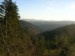 Eau Bois Energie Saint Igny de Vers Rhône Alpes